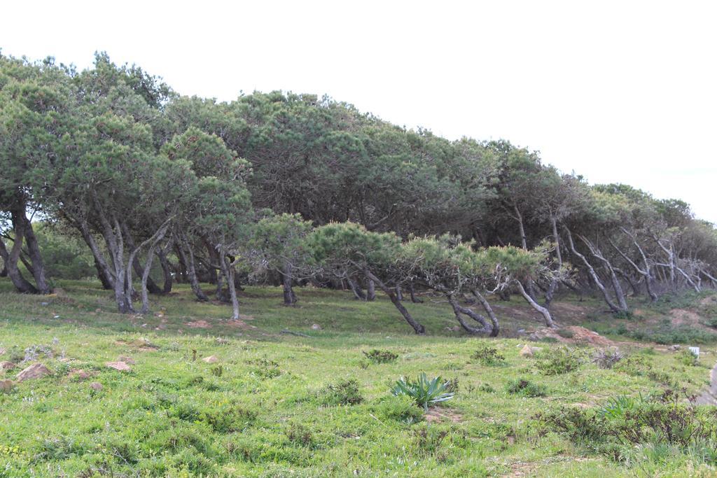 Villa Boa Vista Sul - Terra Da Eira - Raposeira Vila do Bispo Εξωτερικό φωτογραφία